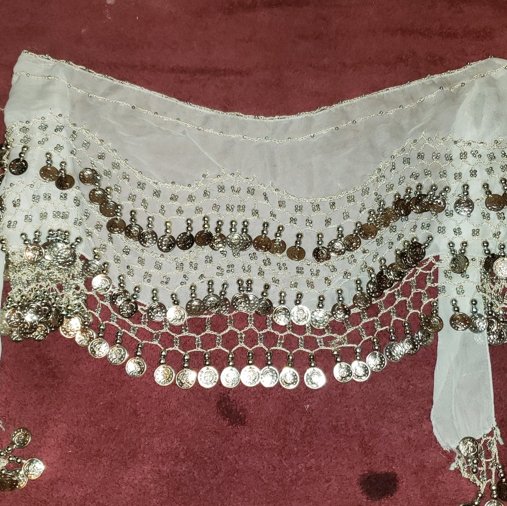 Belly dance skirt